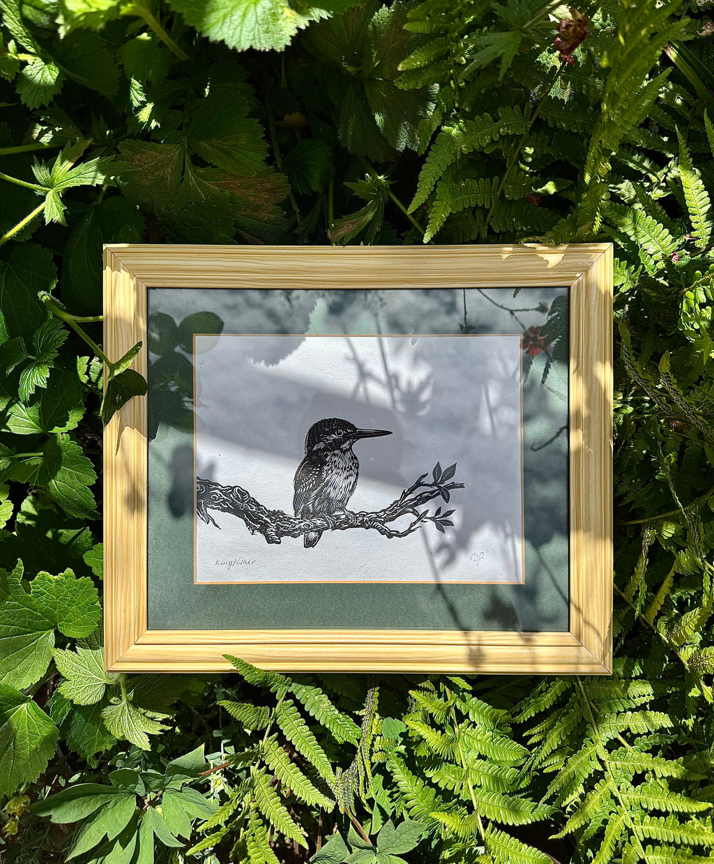 Kingfisher & Branch