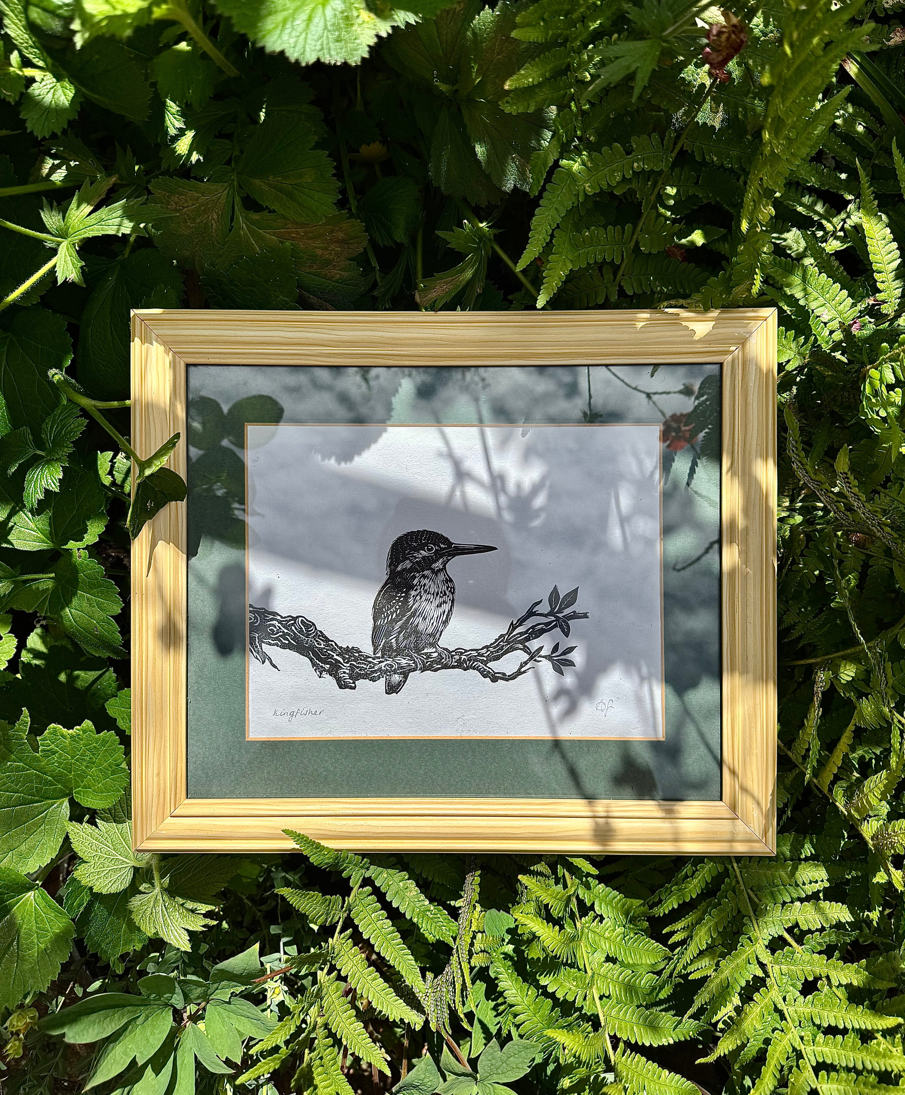Kingfisher & Branch