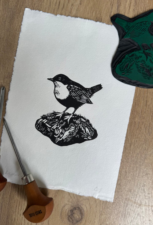 Dipper