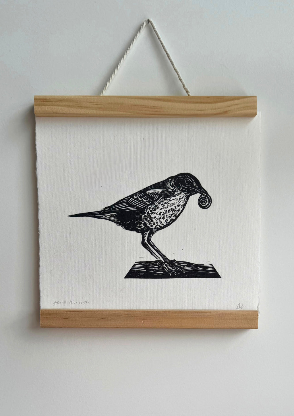 Song Thrush