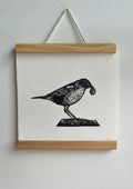 Song Thrush