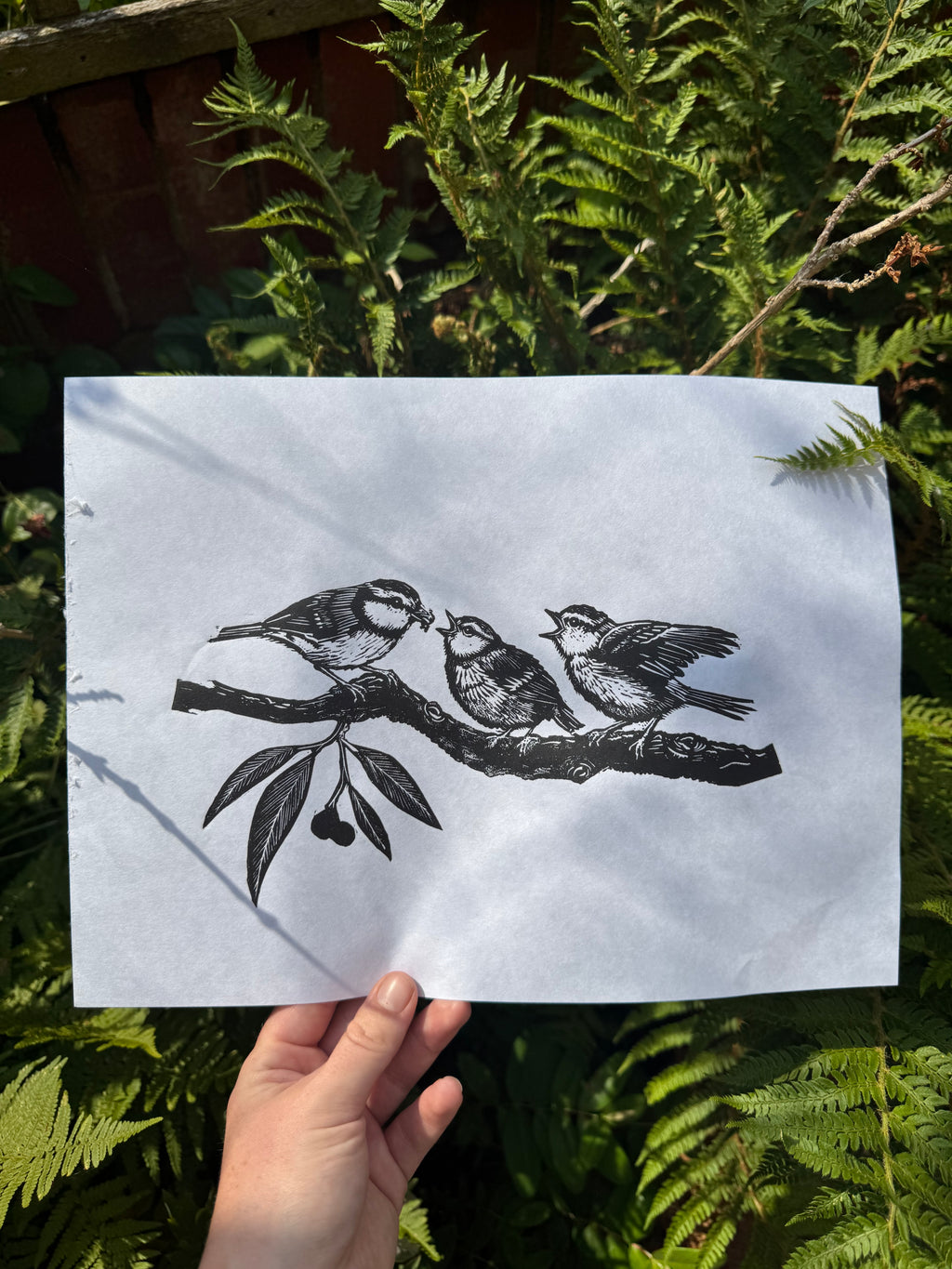 Fledglings