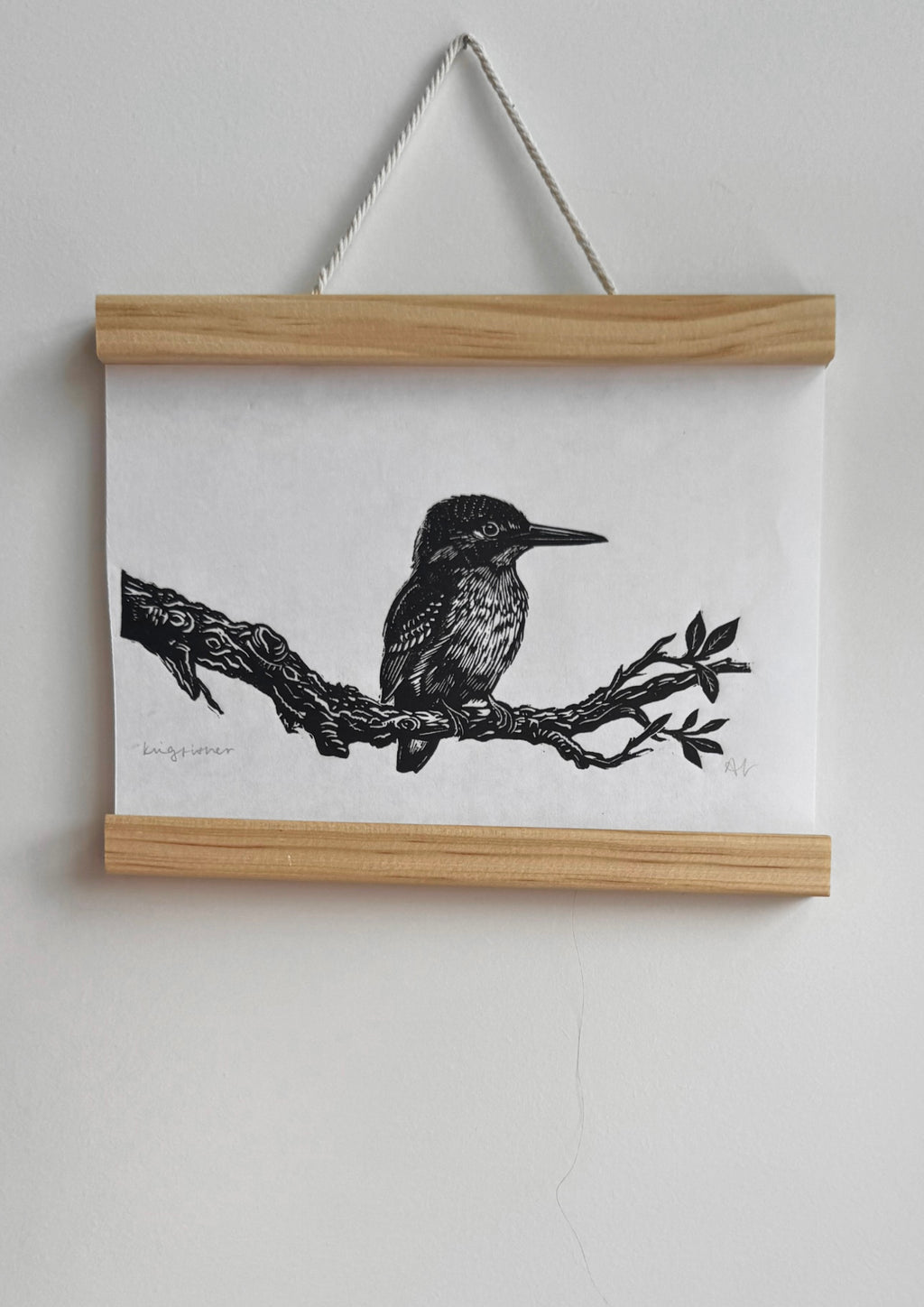 Kingfisher & Branch