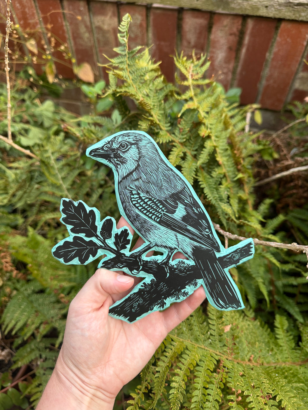 Eurasian Jay