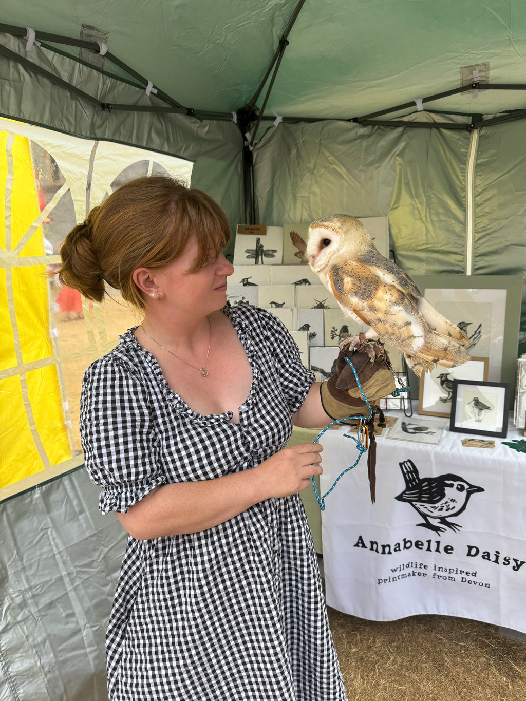 Barn Owl