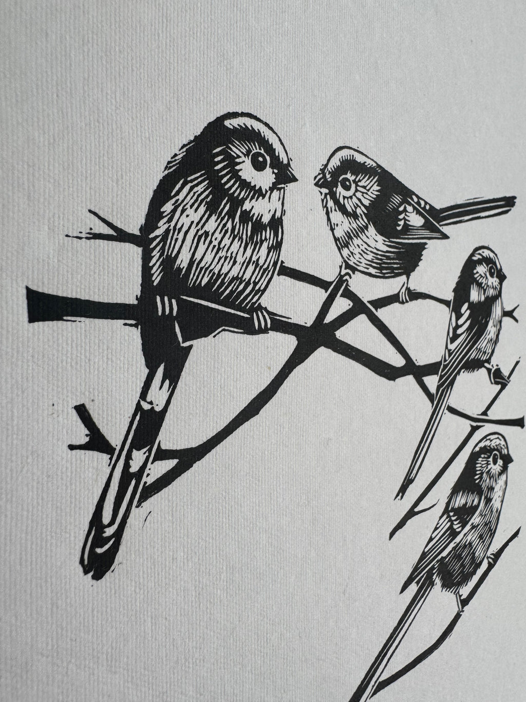 Long-tailed Tits