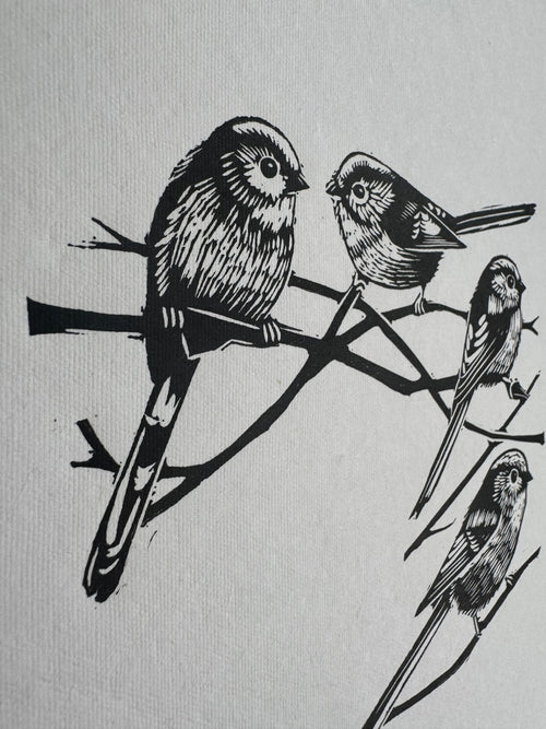 Long-tailed Tits