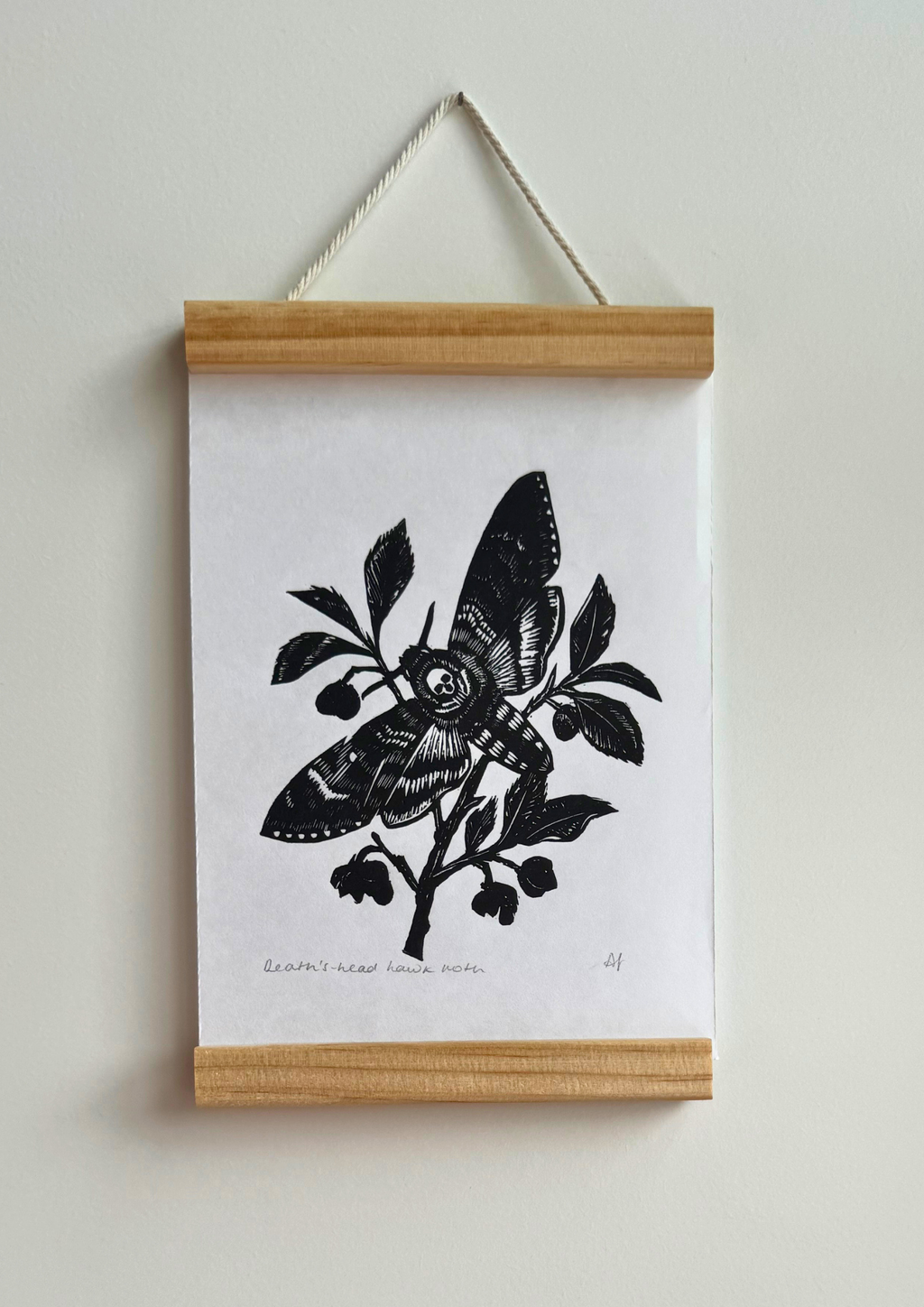 Death's-head Hawkmoth