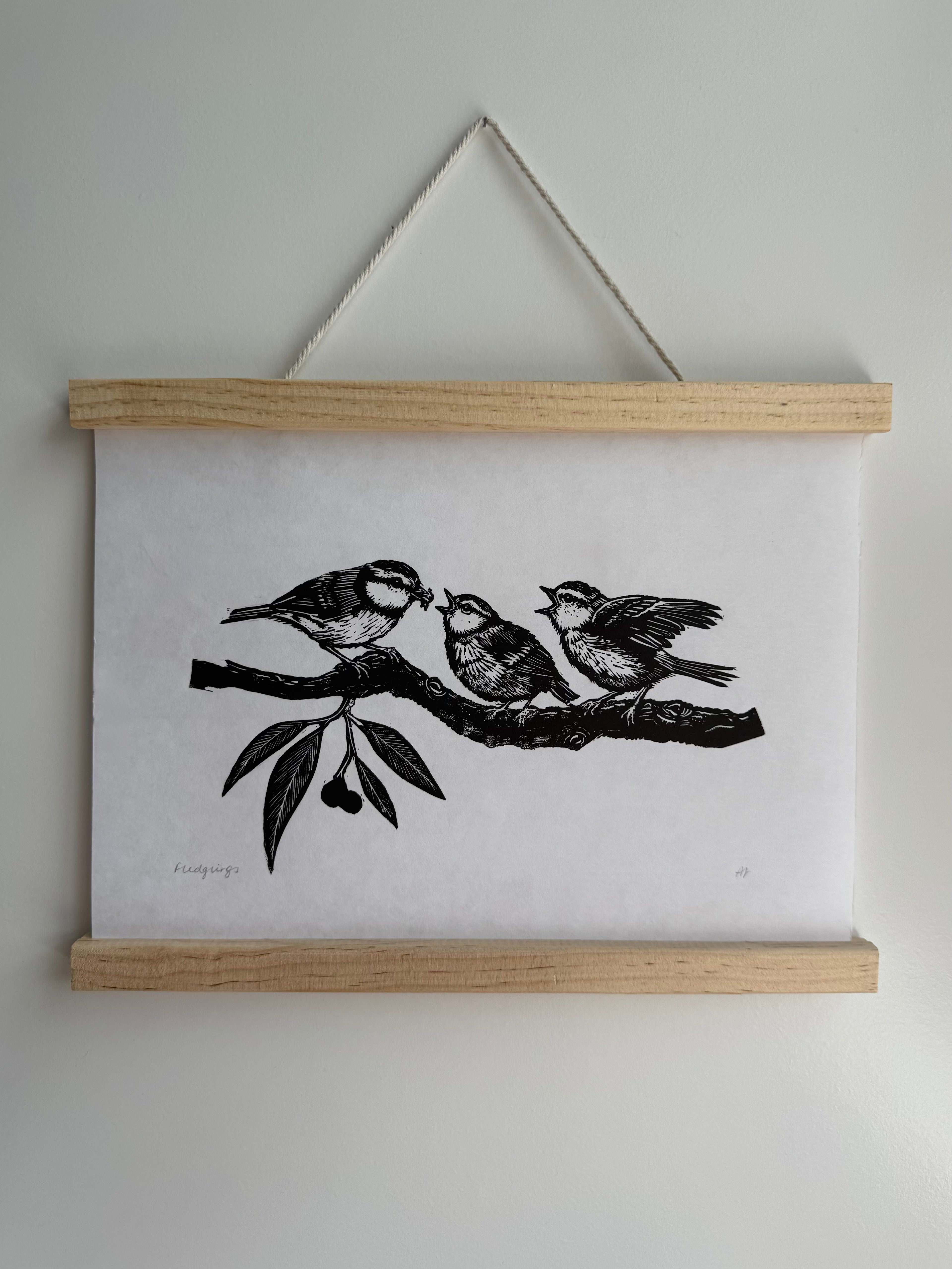 Fledglings