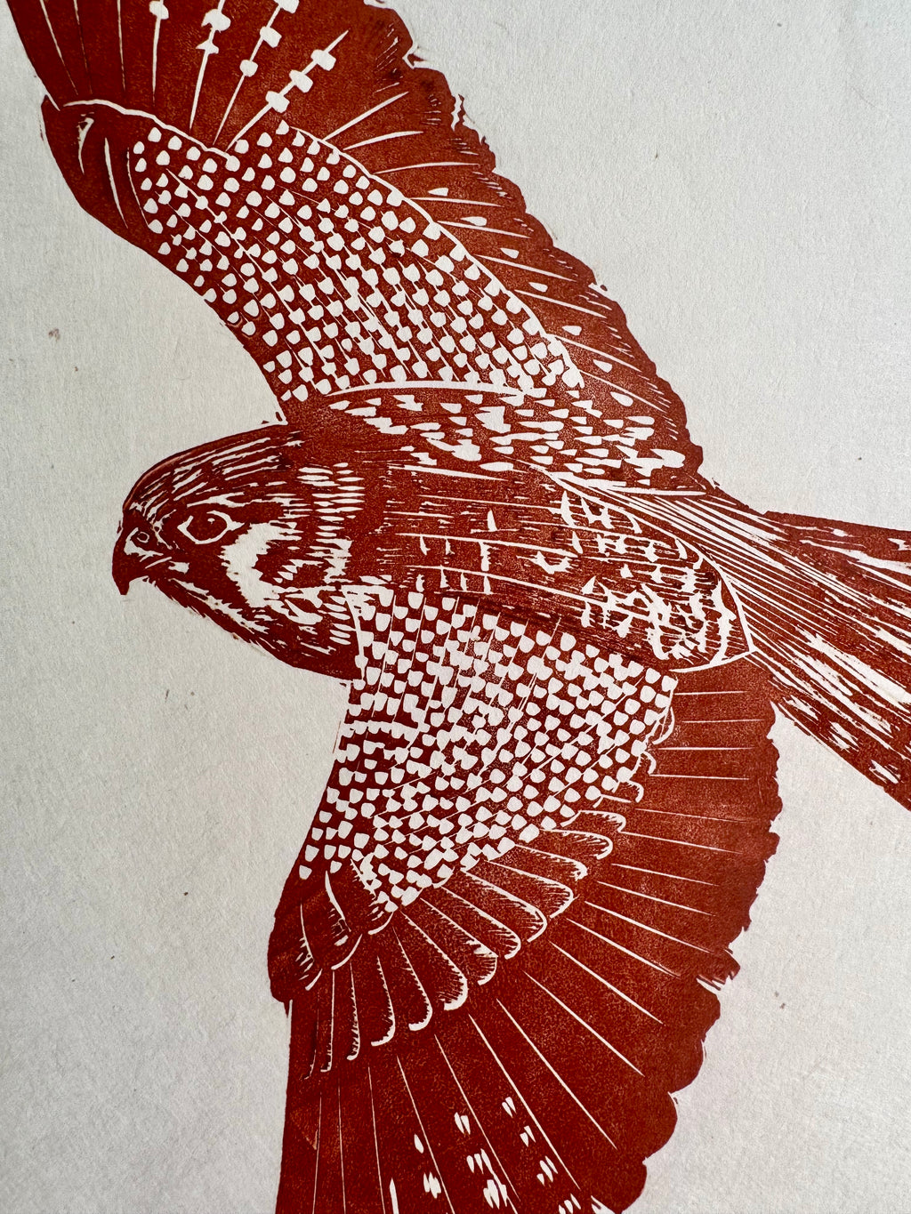 Kestrel