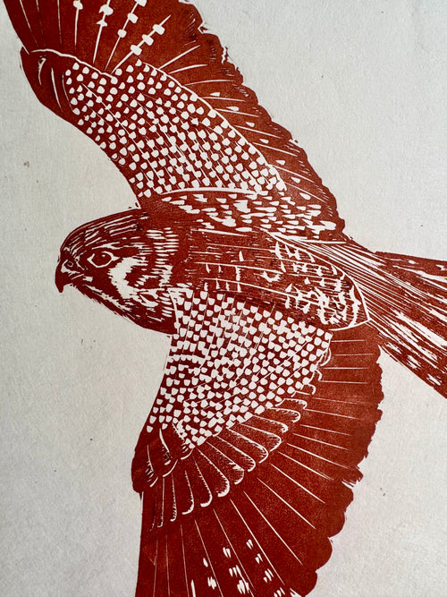 Kestrel