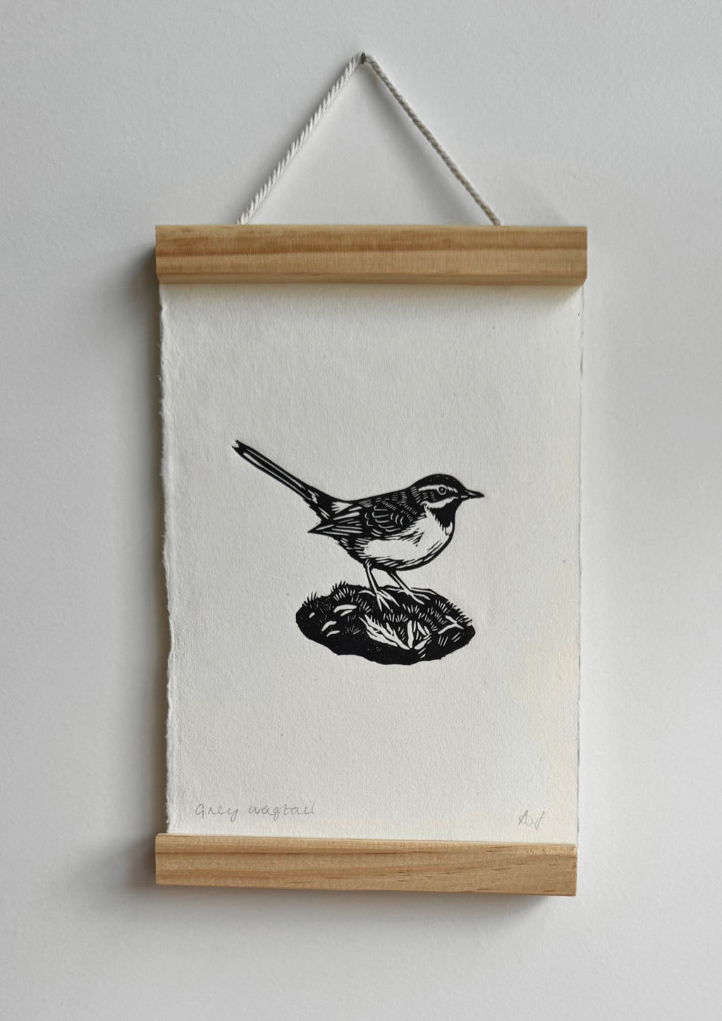 Grey Wagtail