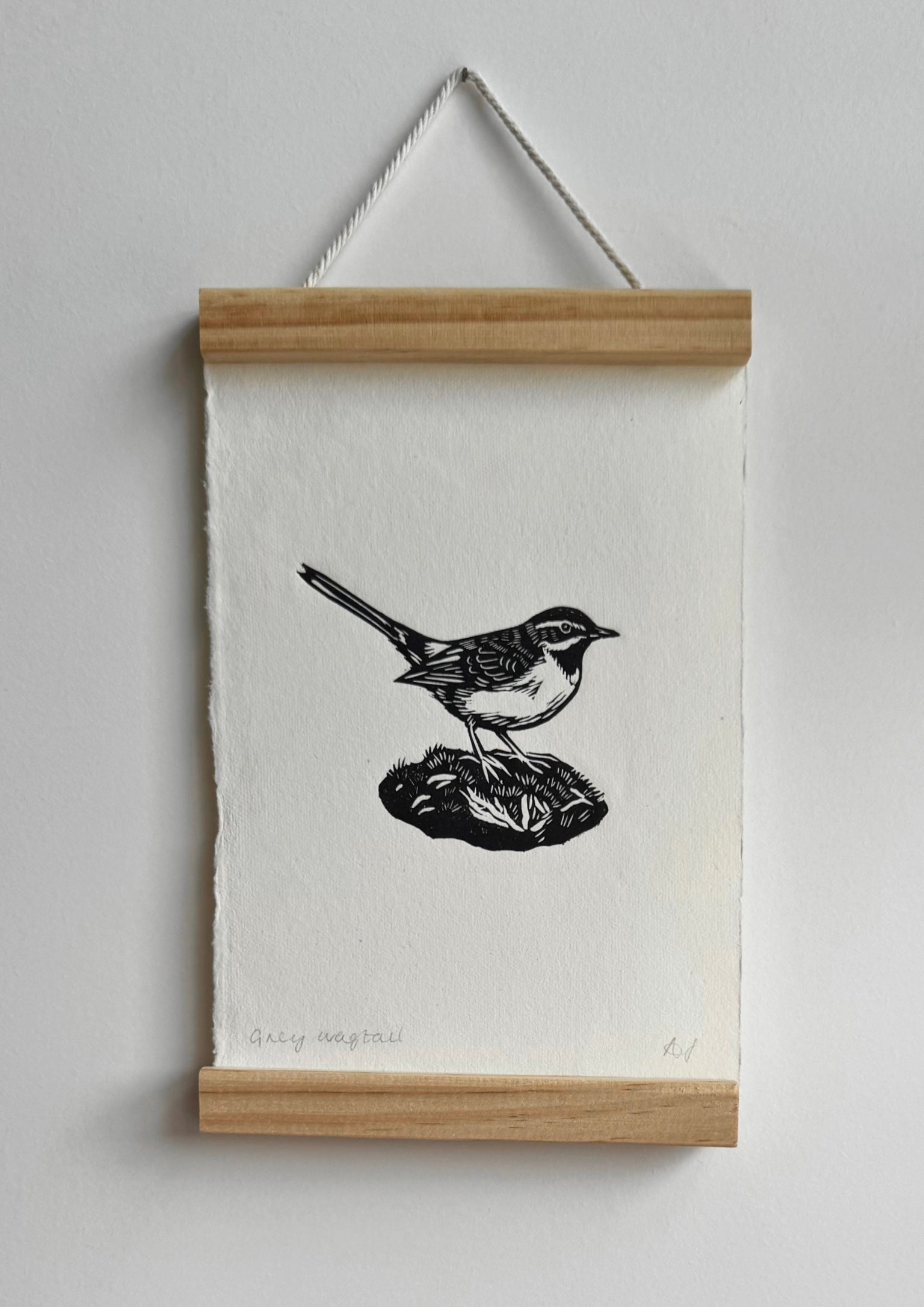 Grey Wagtail