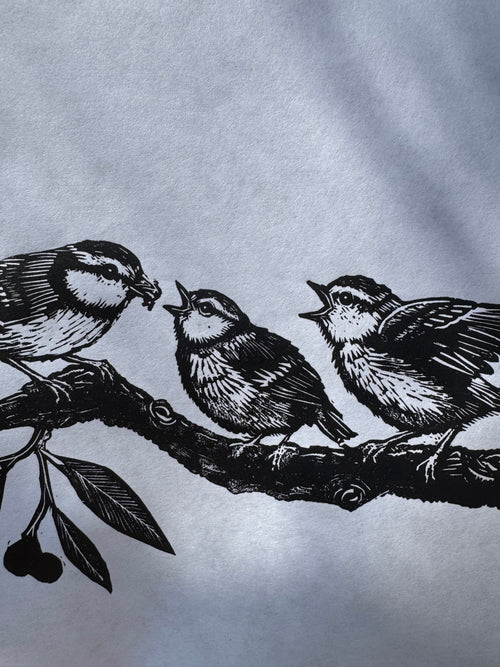 Fledglings