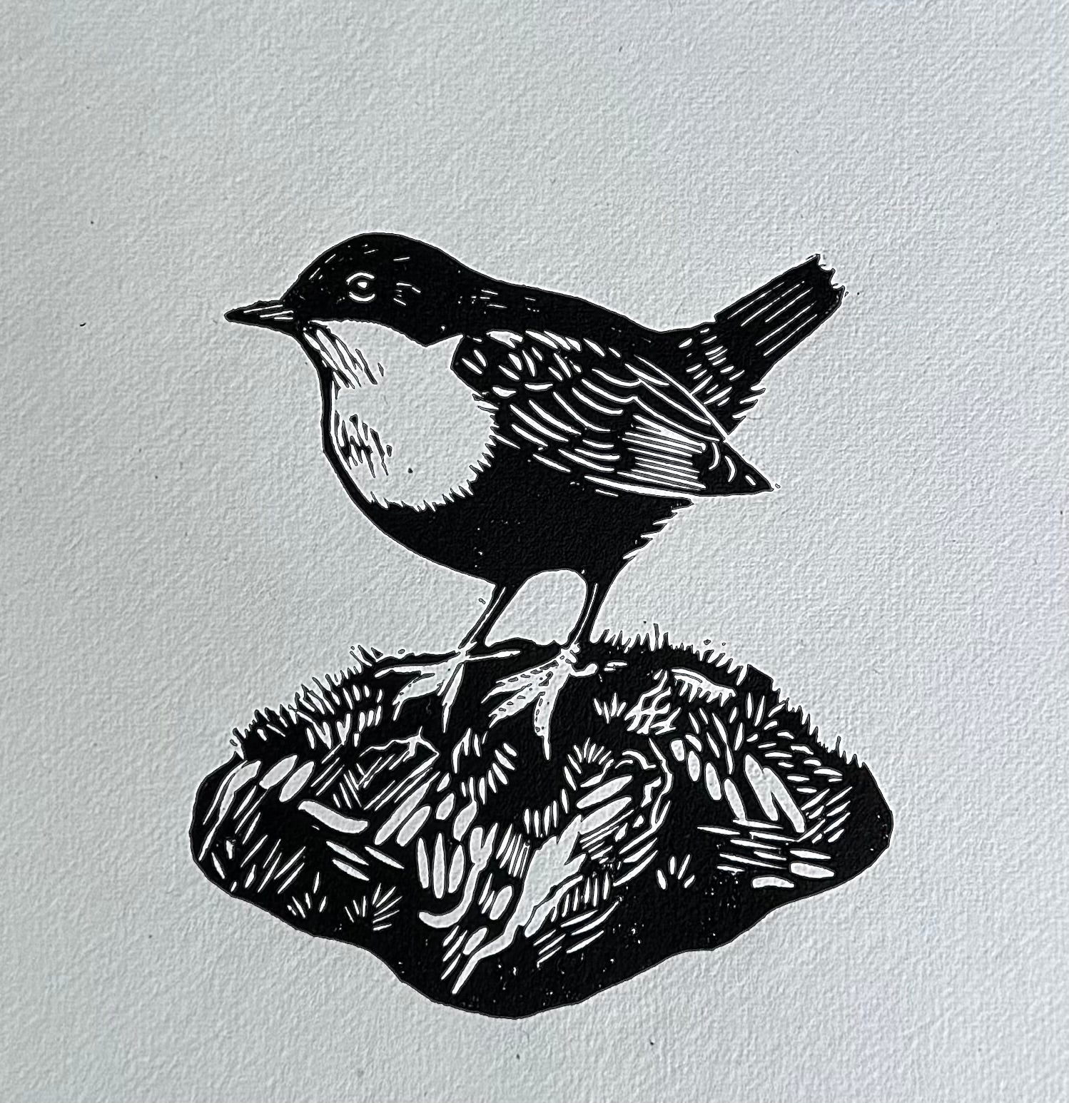 Dipper