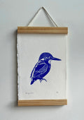 Kingfisher