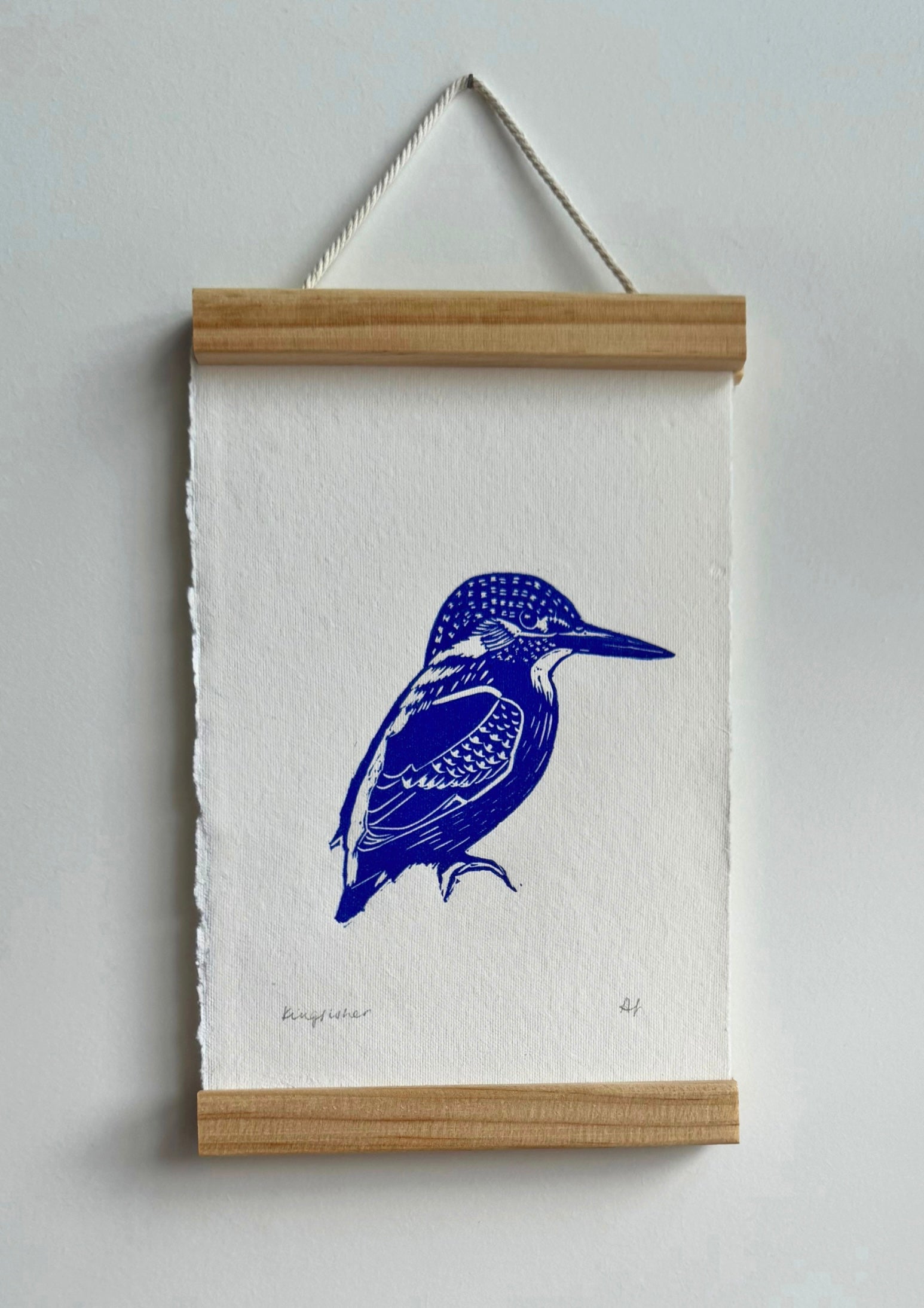 Kingfisher